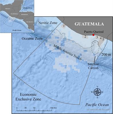 Spatial Distribution and Abundance of Small Cetaceans in the Pacific Waters of Guatemala